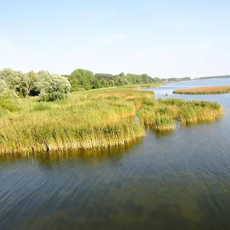 In With Private * Sulomino